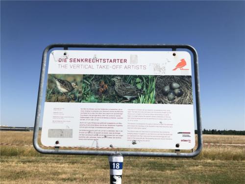 柏林最大的城市公園Tempelhofer Feld中的「雲雀繁殖保護區」