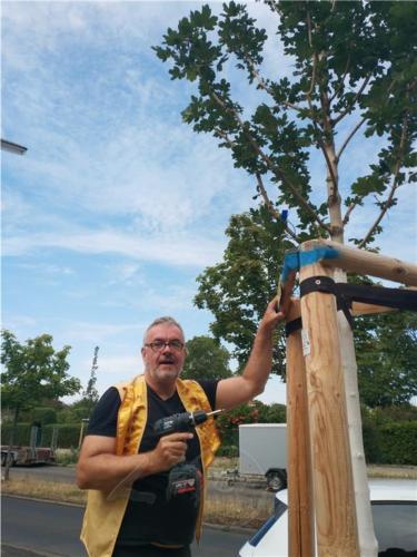 柏林協會理事關琳美的同修Stefan發心為新樹釘上「三好」牌