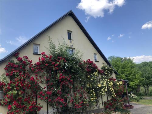 徒步行進間，青年看到當地居民家繁茂的花草，表示感受到主人打理的細心和耐心