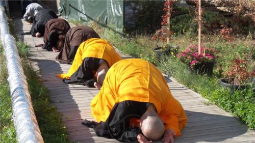 妙祥及永超法師帶領25位中、德信眾自工地門口三步一拜到佛堂大殿。 