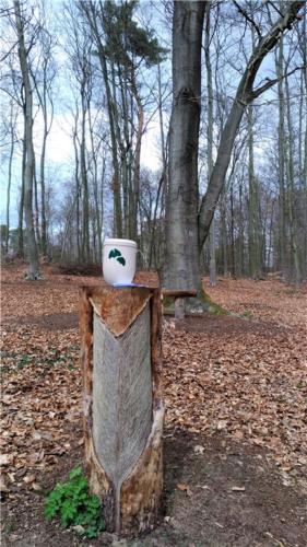 丁政國督導的骨灰樹葬告別式